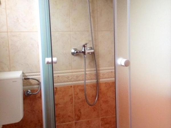 Apartmani Dekovic Materada : photo 8 de la chambre bungalow - vue sur jardin