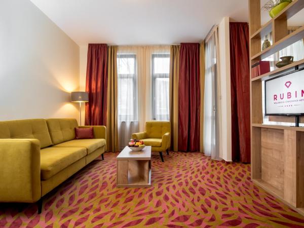 Rubin Wellness & Conference Hotel : photo 4 de la chambre chambre double ou lits jumeaux deluxe – vue sur jardin
