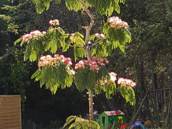Au Charme de Pépiole : photo 3 de la chambre chambre double - vue sur jardin