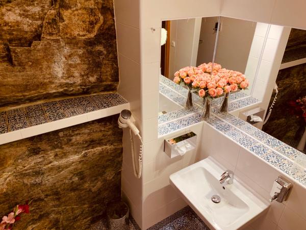 Penzion Kapr : photo 3 de la chambre room with city view - annex