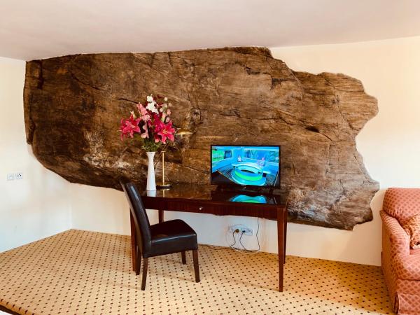 Penzion Kapr : photo 2 de la chambre room with city view - annex