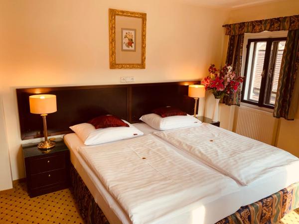 Penzion Kapr : photo 1 de la chambre chambre double ou lits jumeaux - vue sur ville - annexe