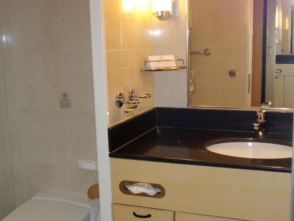 Aarburg Airport Motel : photo 8 de la chambre studio avec lit queen-size et salle de bains privative
