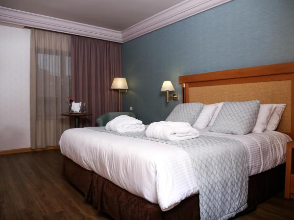 Athens Zafolia Hotel : photo 1 de la chambre chambre simple classique