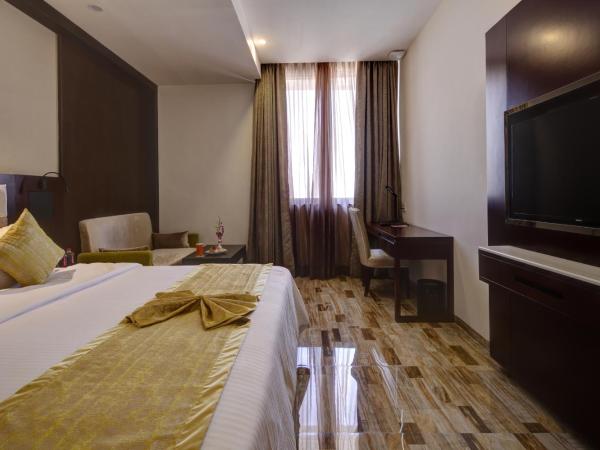 Regenta Inn Ranip Ahmedabad : photo 10 de la chambre chambre double ou lits jumeaux exécutive