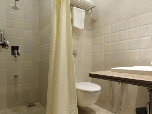 Regenta Inn Ranip Ahmedabad : photo 8 de la chambre chambre double ou lits jumeaux deluxe