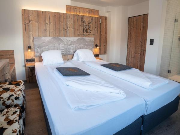BinderS Budget City-Mountain Hotel : photo 4 de la chambre chambre double affaires