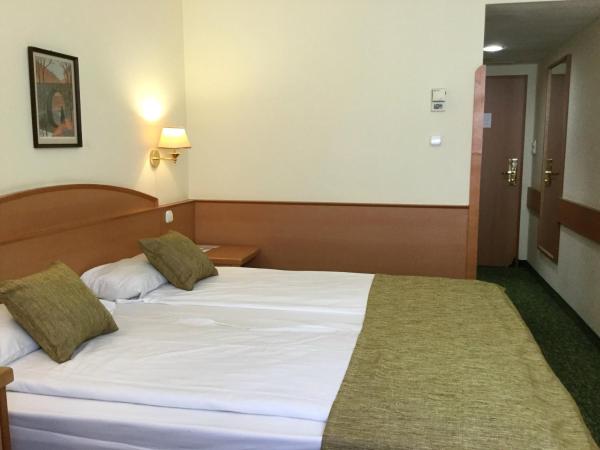 Danubius Hotel Erzsébet City Center : photo 2 de la chambre chambre double standard