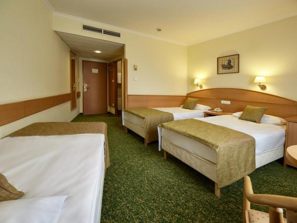Danubius Hotel Erzsébet City Center : photo 2 de la chambre chambre triple standard