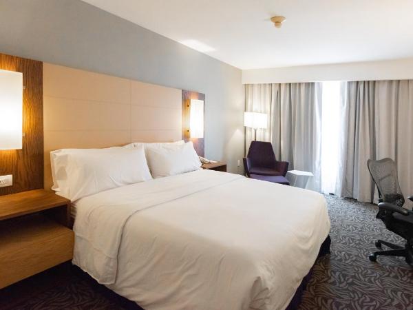 Krystal Urban Monterrey San Jeronimo : photo 4 de la chambre chambre lit king-size supérieure