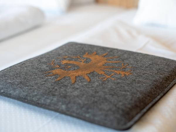 BinderS Budget City-Mountain Hotel : photo 8 de la chambre chambre double affaires