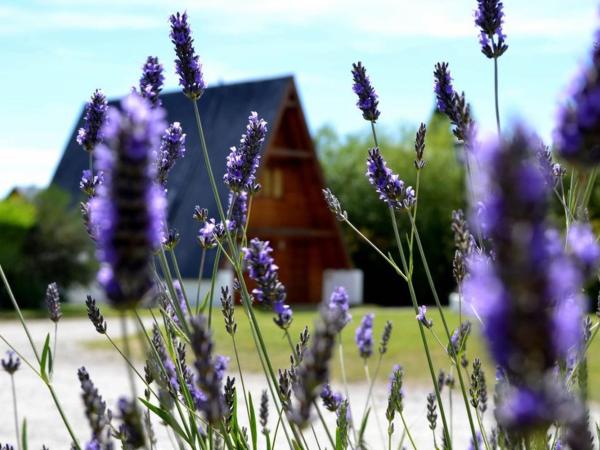 Cabañas Nevis, excelente ubicación : photo 2 de la chambre bungalow 1 chambre