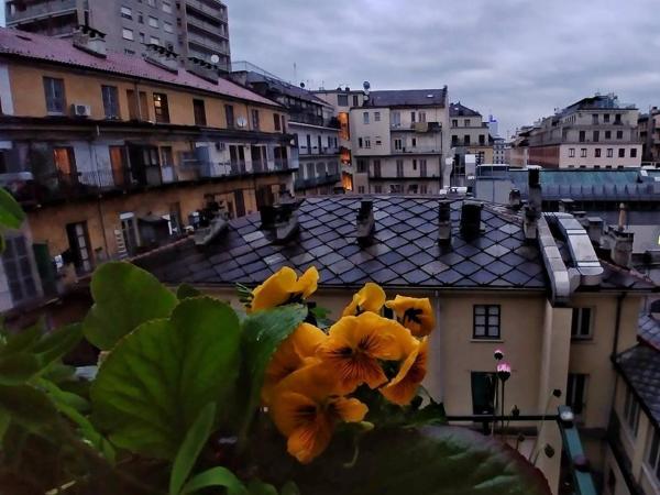 Attic Hostel Torino : photo 7 de la chambre lit dans dortoir mixte de 4 lits