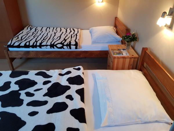 Favela Hostel : photo 3 de la chambre chambre quadruple confort