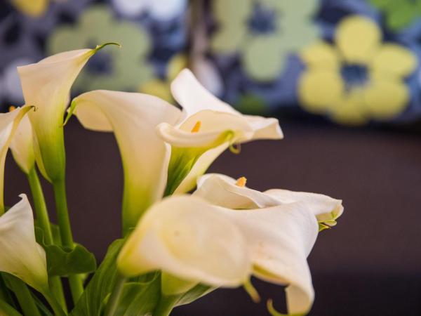 Villa Dard : photo 2 de la chambre suite 2 chambres supérieure avec balcon - vue sur mer