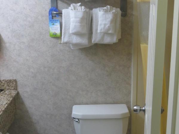 Days Inn by Wyndham Los Angeles LAX/VeniceBch/Marina DelRay : photo 4 de la chambre chambre avec 2 lits doubles - non-fumeurs 