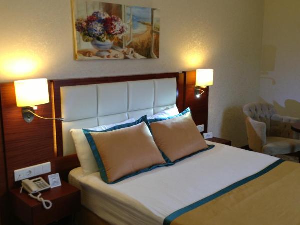 Asrin Business Hotel Kızılay : photo 4 de la chambre chambre double