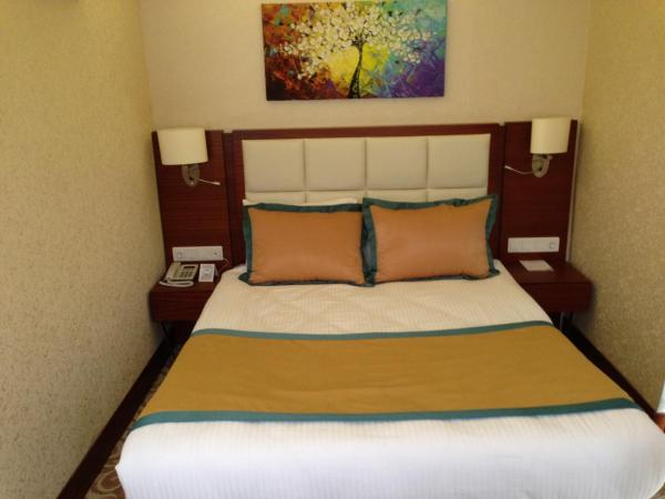 Asrin Business Hotel Kızılay : photo 5 de la chambre chambre double