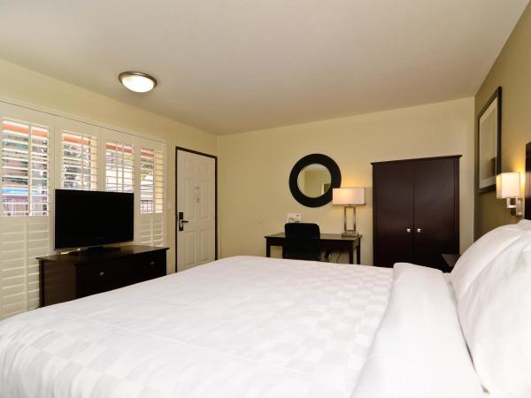 Rodeway Inn Convention Center : photo 4 de la chambre chambre lit queen-size - non-fumeurs