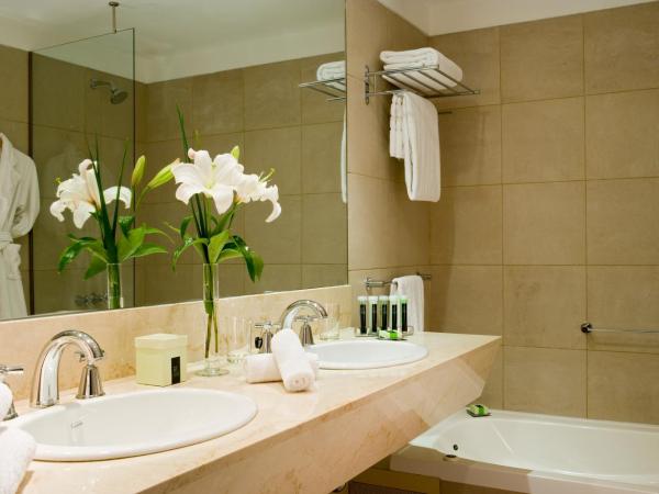 Hotel Madero Buenos Aires : photo 1 de la chambre chambre deluxe double ou lits jumeaux