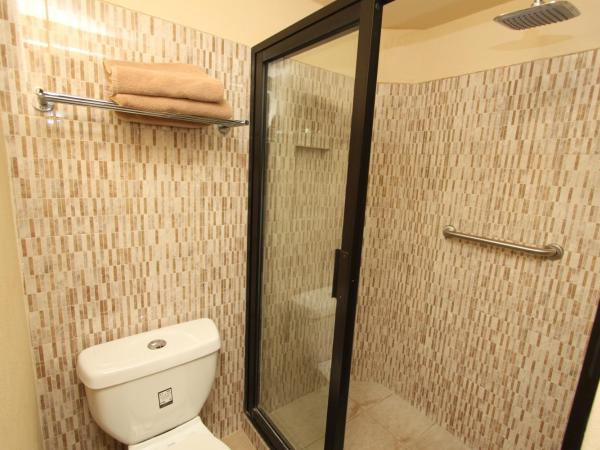 Suites Parador Santo Domingo de G. : photo 2 de la chambre appartement 1 chambre