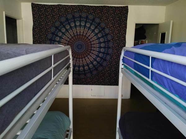 Ocean Front Vortex Female Hostel private rooms Free bikes : photo 1 de la chambre lit superposé dans dortoir pour femmes 
