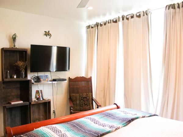 Ocean Front Vortex Female Hostel private rooms Free bikes : photo 10 de la chambre suite lit queen-size deluxe