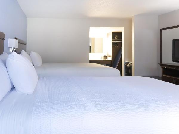 Hotel South Tampa & Suites : photo 4 de la chambre chambre deluxe avec 2 lits queen-size - non-fumeurs