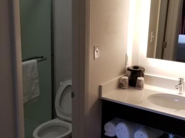 Hotel South Tampa & Suites : photo 6 de la chambre chambre deluxe avec 2 lits queen-size - non-fumeurs
