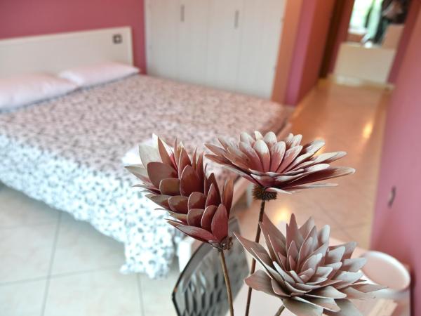 Agriturismo Argaland : photo 1 de la chambre chambre double ou lits jumeaux - vue sur jardin