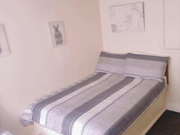 Billycan Guest Rooms : photo 3 de la chambre chambre triple avec douche