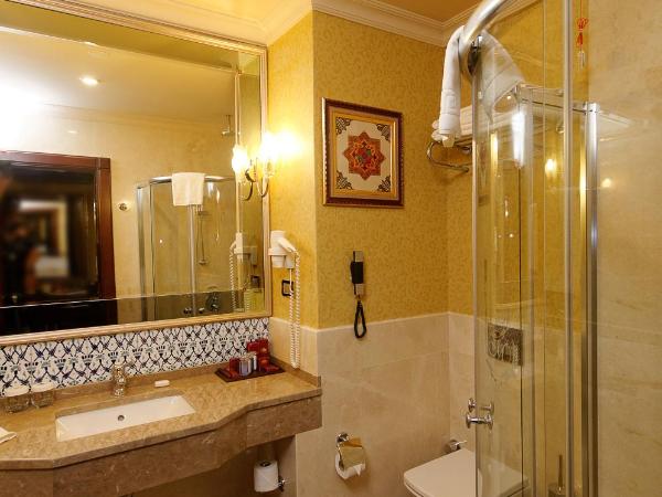 Meyra Palace : photo 6 de la chambre chambre exécutive