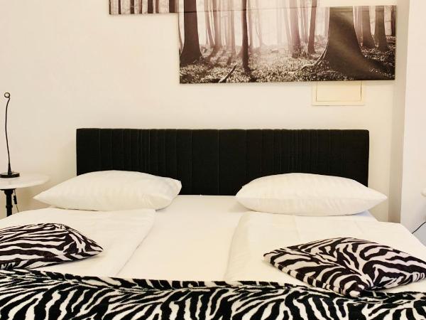 Altstadthotel Hayk am Rhein : photo 4 de la chambre superior studio ground floor no rhine river view 