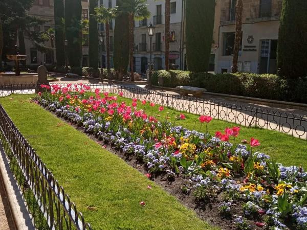 Salamanca Suites Libertad : photo 10 de la chambre suite - vue sur jardin
