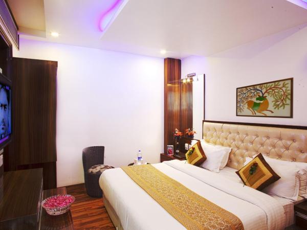 HOTEL DELHI 55 @ NEW DELHI RAILWAY STATION : photo 3 de la chambre chambre double deluxe
