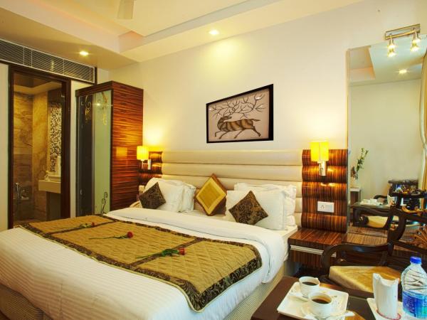 Hotel Delhi 55 -City Center : photo 4 de la chambre chambre super deluxe avec navette depuis l'aéroport