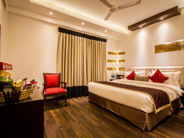 Hotel Grand Godwin - Near New Delhi Railway Station - Paharganj : photo 1 de la chambre chambre studio