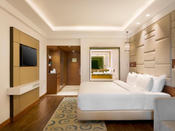 Radisson Jaipur City Center : photo 1 de la chambre business double room: avail 10% discount on food (except dragon house) & soft beverages and laundry