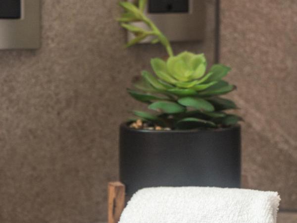 Maja Hotel Boutique : photo 7 de la chambre chambre deluxe