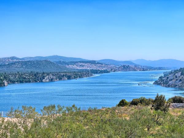 Hotel Panorama : photo 3 de la chambre chambre double standard