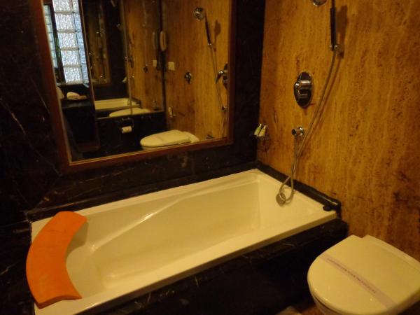 Hotel Aura - New Delhi Railway Station : photo 9 de la chambre premium room with bathtub