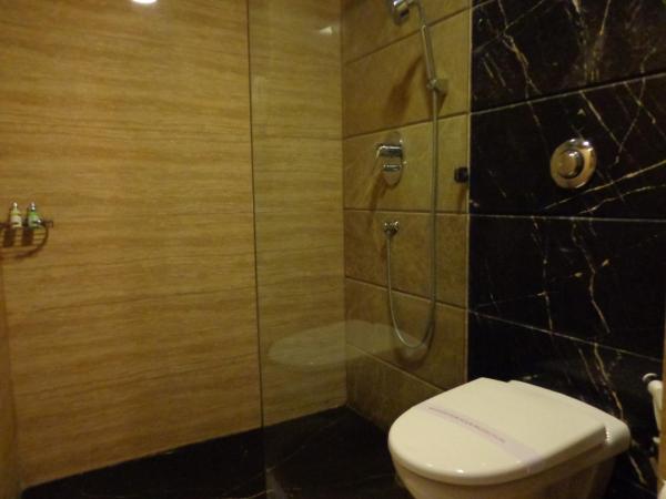 Hotel Aura - New Delhi Railway Station : photo 3 de la chambre executive room with bathtub