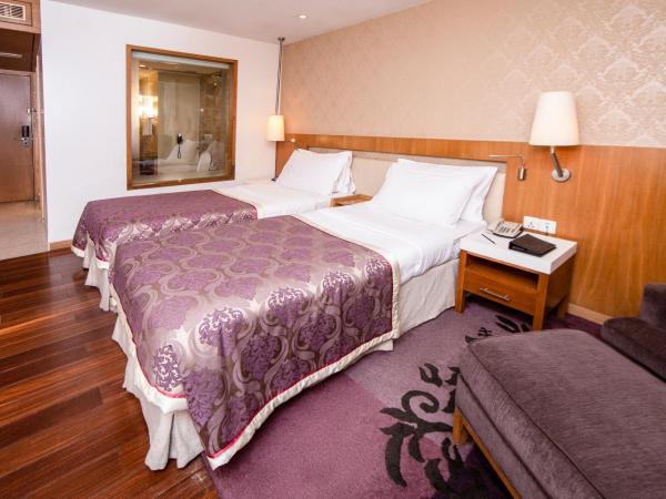 Hotel Bawa International : photo 3 de la chambre chambre double ou lits jumeaux super deluxe
