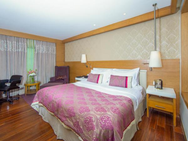 Hotel Bawa International : photo 2 de la chambre chambre double ou lits jumeaux super deluxe