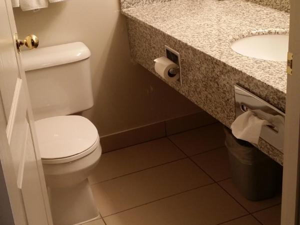 Ramada by Wyndham Red Deer Hotel & Suites : photo 1 de la chambre chambre 2 lits queen-size - non-fumeurs