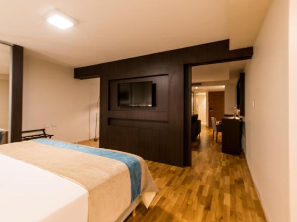 Caseros 248 Hotel : photo 7 de la chambre suite