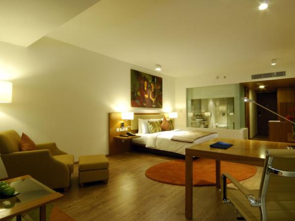 Radisson Blu Plaza Hotel Hyderabad Banjara Hills : photo 7 de la chambre chambre deluxe double ou lits jumeaux