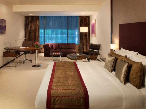 Radisson Blu Plaza Hotel Hyderabad Banjara Hills : photo 10 de la chambre business class room with 15% discount on food and soft beverages