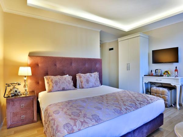 Bon Hotel Old City : photo 8 de la chambre chambre double supérieure