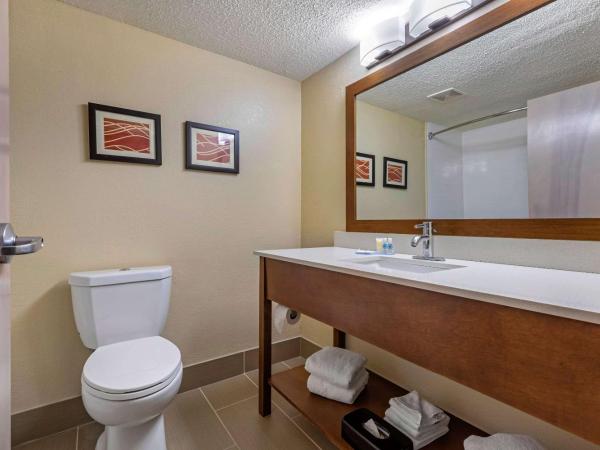 Comfort Inn N Myrtle Beach Barefoot Landing : photo 6 de la chambre chambre lit king-size - non-fumeurs